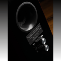 Joseph Audio PERSPECTIVE2 Graphene variant 4