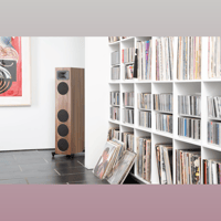 MartinLogan Motion Foundation F1 variant 23