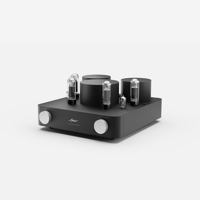 Fezz Audio Silver Luna Prestige variant 10
