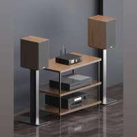 Arylic A100 100W x 2 Power amplifier with FM variant 8