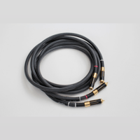 Danacable Diamond Reference IC variant 2