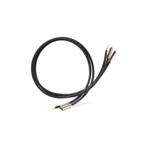 Shunyata Research GAMMA Phono variant 1