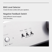 Cayin CS-150A variant 4