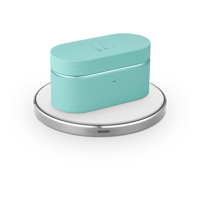 B&O-Bang & Olufsen  Beoplay E8 Sport Charging Case variant 3