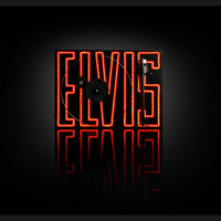Pro-ject Audio Systems - USA Elvis Turntable variant 5