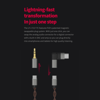 FiiO LF-RB variant 12