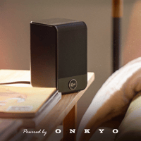 Klipsch Flexus SURR 100 variant 3