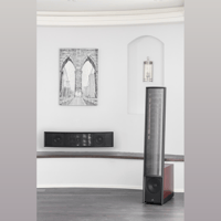 MartinLogan Focus ESL C18 variant 4