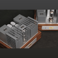 ThivanLabs 211 POWER MONOBLOCK variant 3