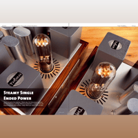 ThivanLabs 211 POWER MONOBLOCK variant 13