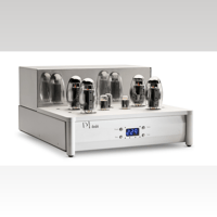 Doshi Evolution Monoblock Amplifier variant 1