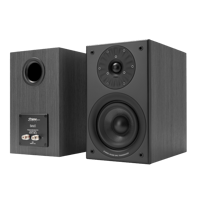 Starke Sound Officially Tuned Bundle: Beta5 × Eversolo Play variant 4