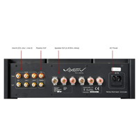 Voxativ T-211 SET Integrated Amp variant 2