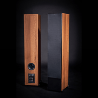 Scansonic L20 – Full Range Floor Stander variant 5