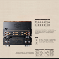 Cayin Pearl 30i variant 15