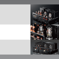 Cayin HA-300MK2 variant 11