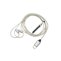 Strauss & Wagner  Delft 2-pin to USB-C In-Ear Monitor Upgrade Cable (32-Bit) variant 1