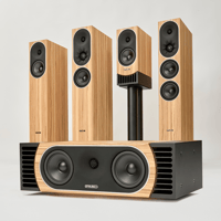 PMC prophecyC variant 1