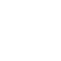 Sonus Faber Arena 2 variant 6