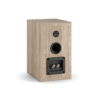 Dali OBERON 1 variant 4