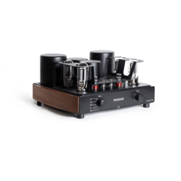 Mastersound Evolution 845 variant 2