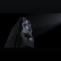 Perlisten S7t variant 4