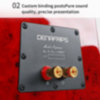 Denafrips Neptune two-frequency bookshelf speaker variant 3