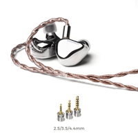 LETSHUOER Cadenza 12 IEM BA & DA Hybrid Drivers In-Ear Monitor HiFi Earphone variant 5