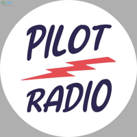 Pilot Radio Pilot Felt slipmat variant 1