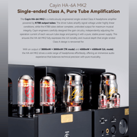 Cayin HA-6A MK2 variant 7