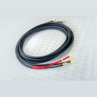 Silver Sonic T-14 variant 1