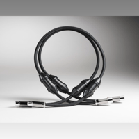 Shunyata Research ALPHA-X RCA | XLR | Phono variant 4