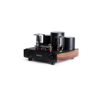 Mastersound Compact 845 variant 3