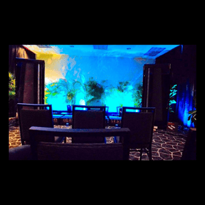 Thumbnail of the video review https://www.youtube.com/watch?v=nMKvTdVO-Sw