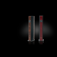 Brodmann VC 2 variant 1