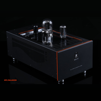SW1x MPA IV “Aurora” Mono Power Amplifier variant 12