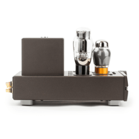 Feliks Audio EUFORIA EVO variant 3