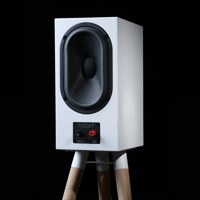 Buchardt Audio P300 variant 10