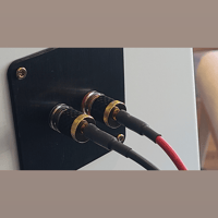 Gershman Acoustics 30th Anniversary Black Swan variant 12