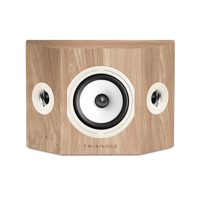 Triangle Borea - BRS1 variant 3