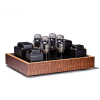 Border Patrol P20 PUSH-PULL AMPLIFIER variant 1