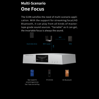 Aune S10N  Network Music Player variant 14