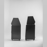 Wilson Audio The WATT/Puppy variant 1