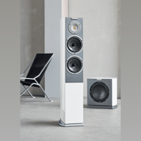 Audiovector R Sub variant 8