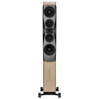 Dynaudio Confidence 50 variant 16