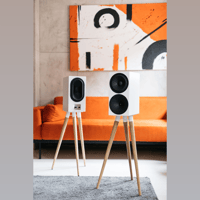 Buchardt Audio S400 MKII variant 9