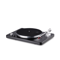 VPI Industries Player variant 1
