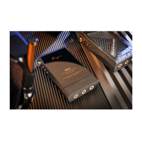 Cayin N6iii variant 42