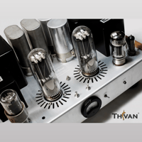 ThivanLabs Special ultimate monoblock 845PP Amplifiers variant 11