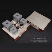 ThivanLabs ULTIMATE 300 – 300B Single-Ended Tube Preamplifier Optical & MM-MC Phono variant 20